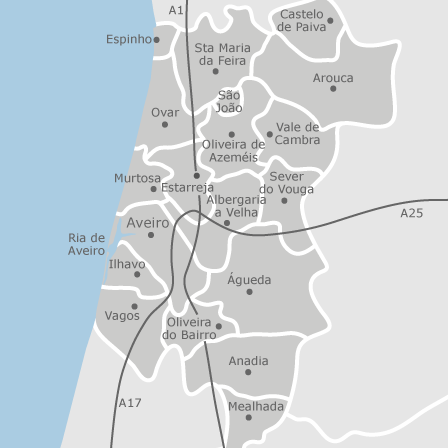 Mapa dos concelhos de Aveiro e arredores
